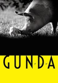 GUNDA /グンダ