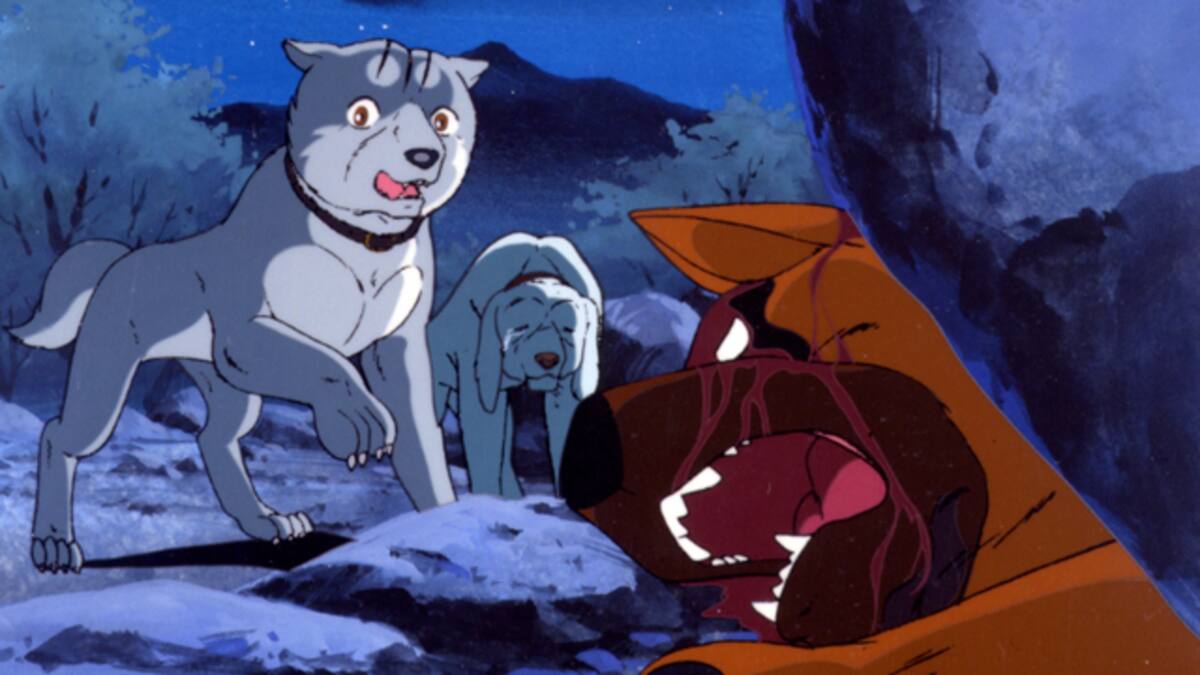 第11話 忍犬 伊賀の里に黒い影 銀牙 流れ星 銀 動画配信 レンタル 楽天tv