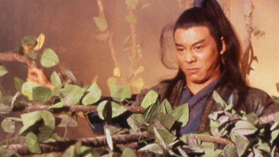 カンフー・カルト・マスター/魔教教主 動画配信/レンタル 楽天TV