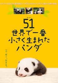 51（ウーイー）世界一小さく生まれたパンダ