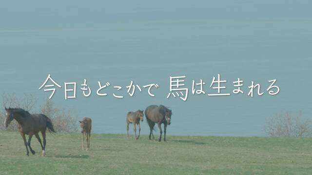 今日もどこかで馬は生まれる 動画配信 レンタル 楽天tv