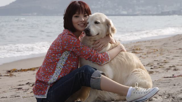 犬と私の10の約束 動画配信 レンタル 楽天tv