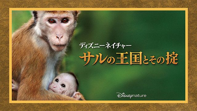 ディズニーネイチャー/サルの王国とその掟