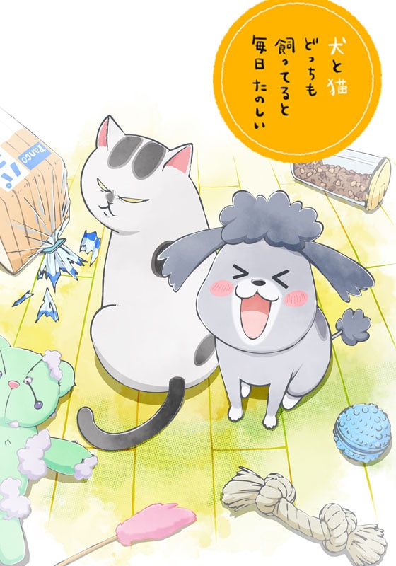 9 耳は正直 10 あそび 11 先々代の犬 12 その意味は 犬と猫どっちも飼ってると毎日たのしい 動画配信 レンタル 楽天tv