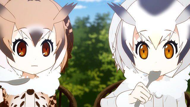 第7話 じゃぱりとしょかん けものフレンズ 動画配信 レンタル 楽天tv