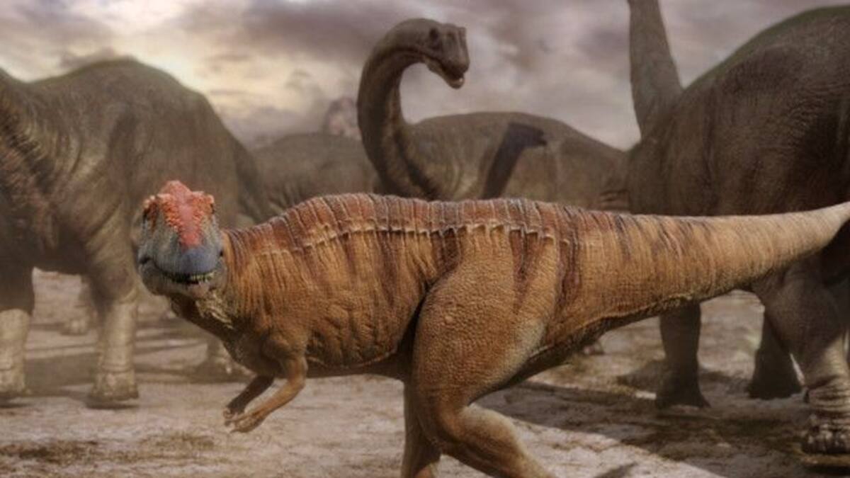 第5話 新たな巨大恐竜たち プラネット ダイナソー 動画配信 レンタル 楽天tv