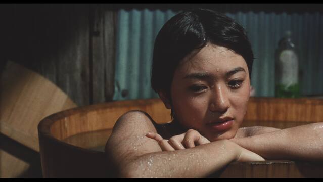 ファザーファッカー 動画配信/レンタル 楽天TV