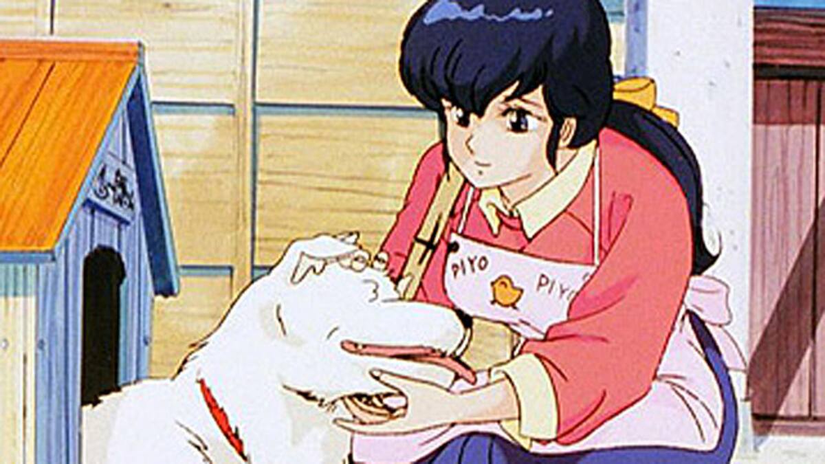 33 日記にショック 惣一郎に恋人がいた めぞん一刻 デジタルリマスター版 第1シーズン 動画配信 レンタル 楽天tv 33 日記にショック 惣一郎に恋人がいた めぞん一刻 デジタルリマスター版 第1シーズン 動画配信 レンタル 楽天tv