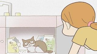 くるねこ くるねこ 全50話 14daysパック 動画配信 レンタル 楽天tv