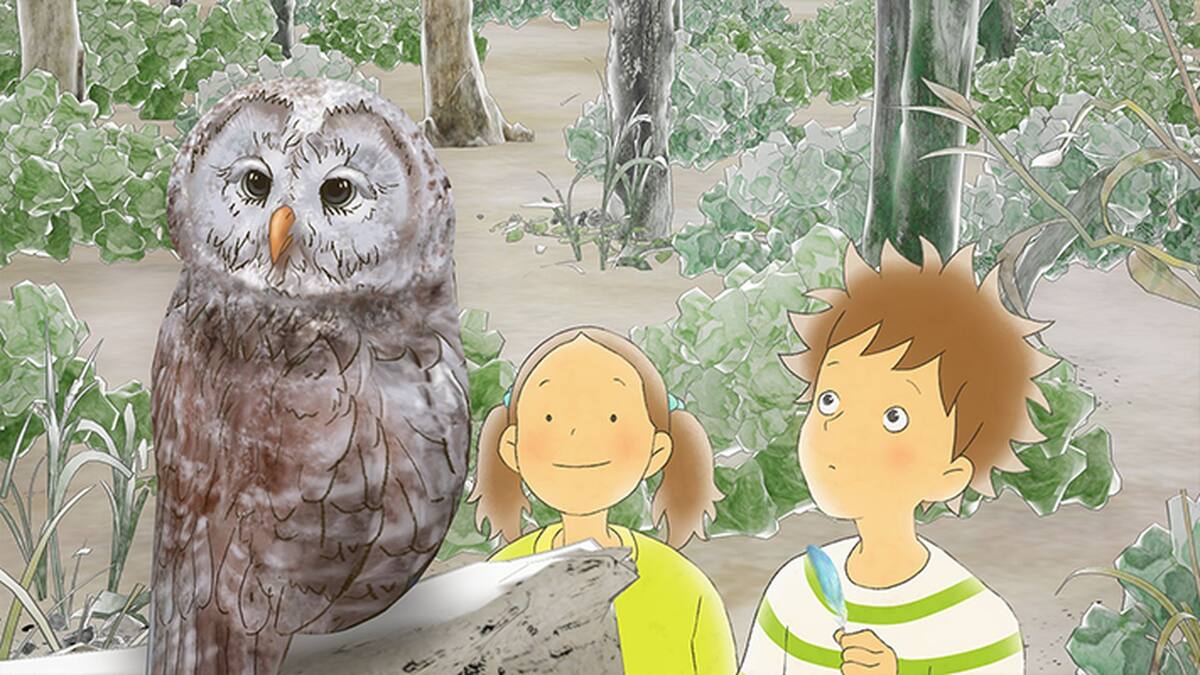 第3話 森へ潜入 フクロウじいさんと唄うのが大好きなオオルリ 青い羽見つけた 動画配信 レンタル 楽天tv