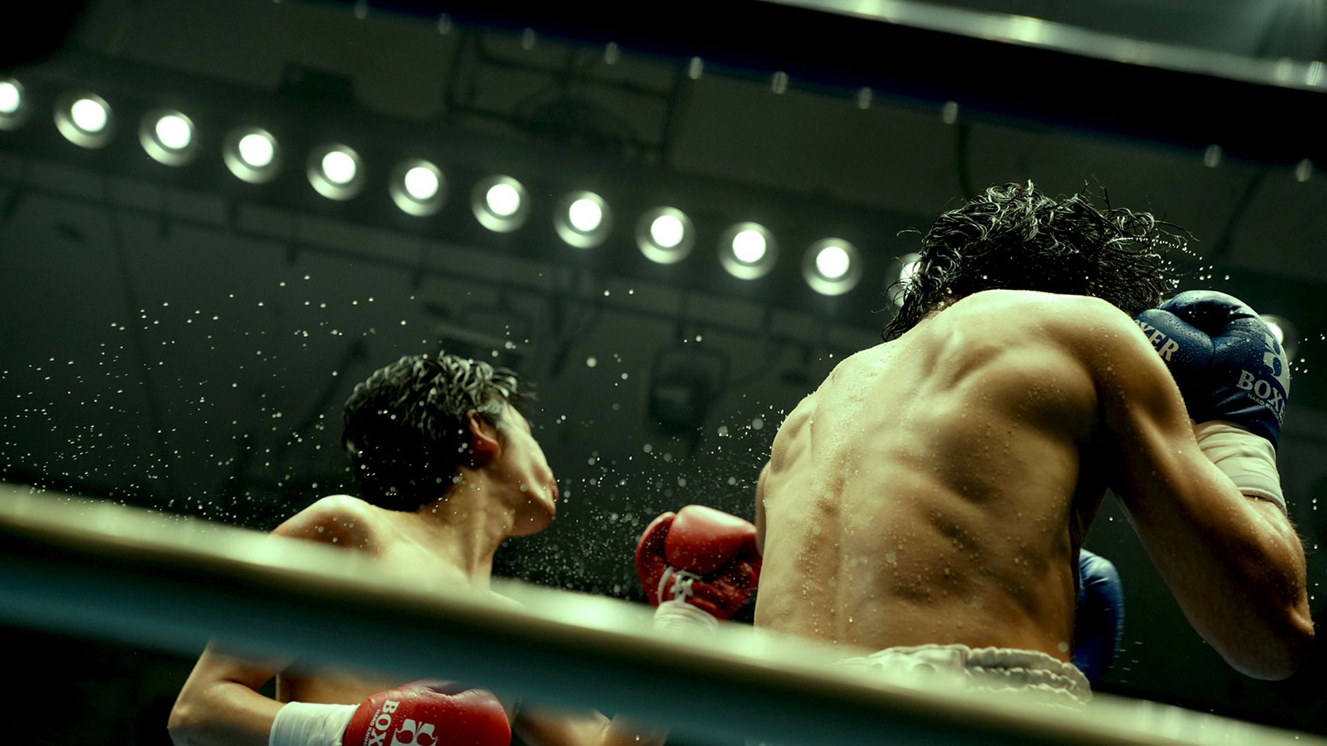 【映画】リング上の死闘！ボクシング映画特集