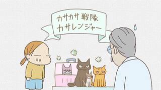 くるねこ くるねこ 全50話 14daysパック 動画配信 レンタル 楽天tv