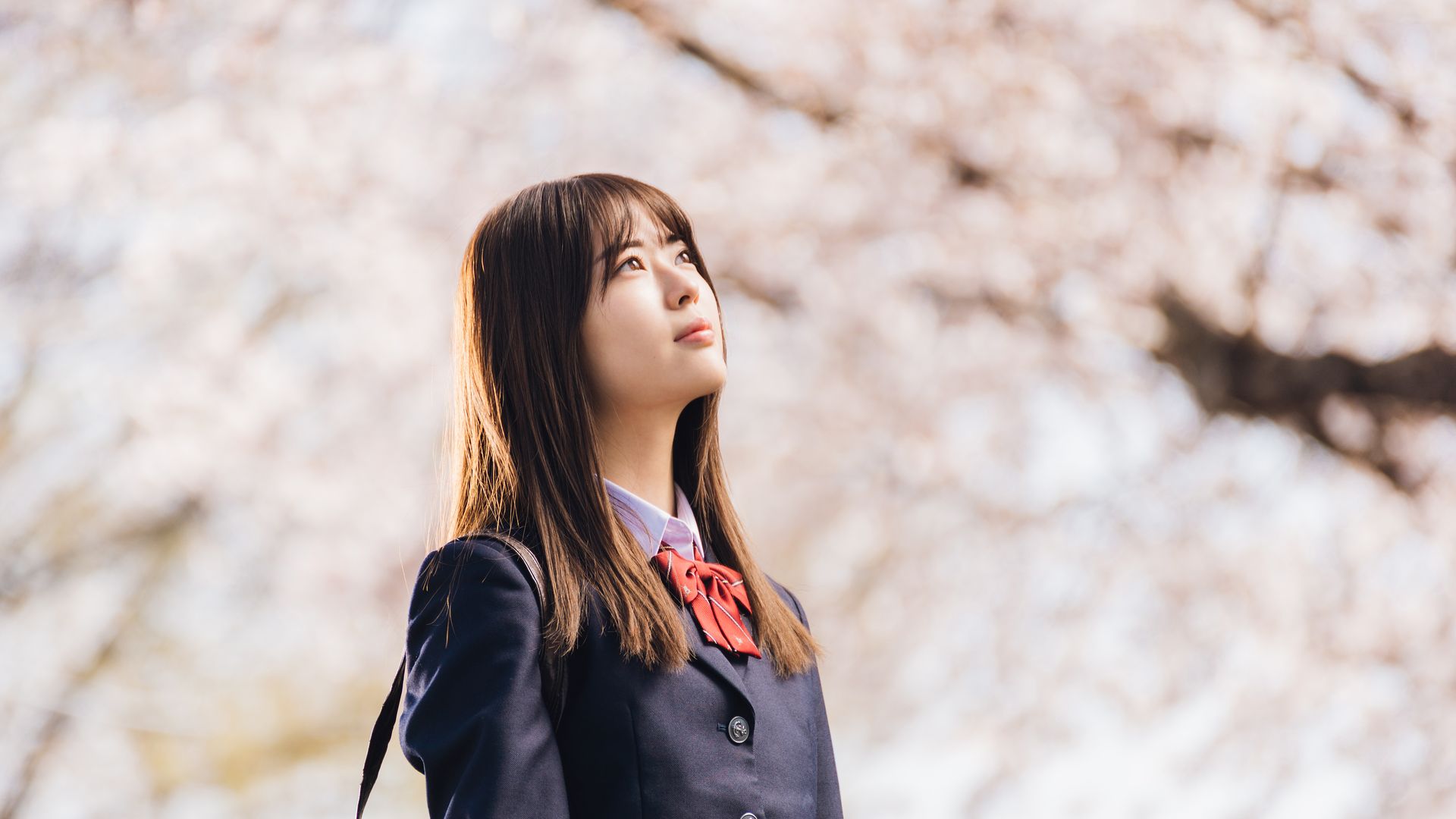 【映画】春に観たい！桜が美しく描かれた邦画特集