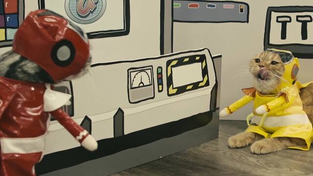 第8話 オス猫はつらいにゃん ネコ戦隊びたたま 動画配信 レンタル 楽天tv 第8話 オス猫はつらいにゃん ネコ戦隊びたたま 動画配信 レンタル 楽天tv