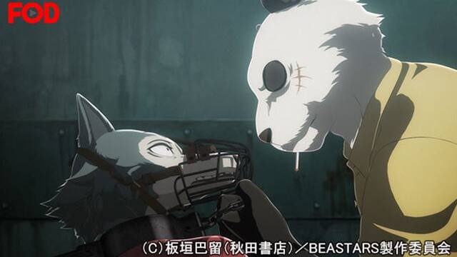 第6話 視界の滲み 夢か現か Beastars 動画配信 レンタル 楽天tv