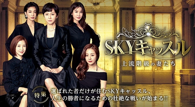 SKYキャッスル～上流階級の妻たち～ | 無料動画・相関図・キャスト - 韓国ドラマ