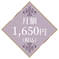 月額1,650円(税込)